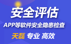 安全评估报告
